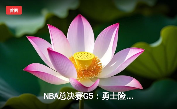 NBA总决赛G5：勇士险胜凯尔特人夺赛点，库里狂砍43分创纪录
